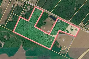 145 Horseshoe Rd, Rockingham, NC 28379 - Photo 10