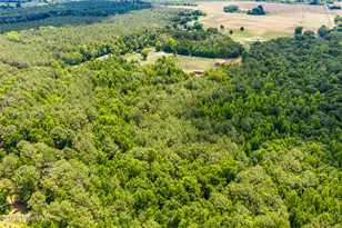 145 Horseshoe Rd, Rockingham, NC 28379 - Photo 6