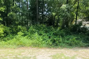 124 Bayshore Dr, Sneads Ferry, NC 28460 - Photo 1