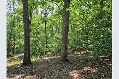 Lot 10 Bobcat Lane, Murphy, NC 28906 - Photo 20