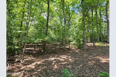 Lot 10 Bobcat Lane, Murphy, NC 28906 - Photo 12