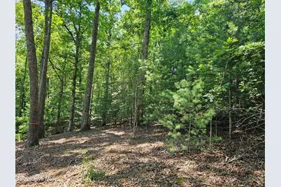 Lot 10 Bobcat Lane, Murphy, NC 28906 - Photo 16