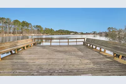 1016 Ginger Lily Way, Leland, NC 28451 - Photo 48