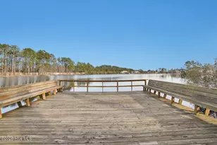 1016 Ginger Lily Way, Leland, NC 28451 - Photo 48