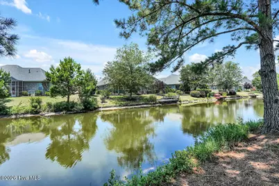 1016 Ginger Lily Way, Leland, NC 28451 - Photo 34
