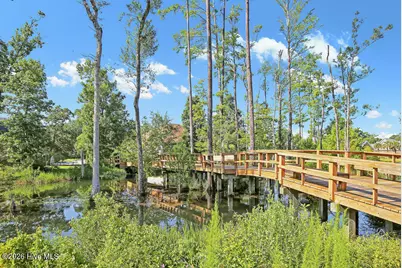 1016 Ginger Lily Way, Leland, NC 28451 - Photo 56