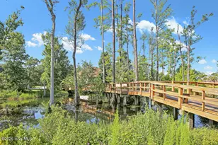 1016 Ginger Lily Way, Leland, NC 28451 - Photo 56