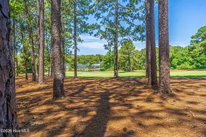 285 Sugar Gum Lane #Unit 50, Pinehurst, NC 28374 - Photo 32
