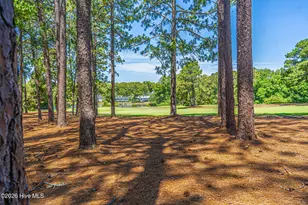 285 Sugar Gum Ln, Pinehurst, NC 28374 - Photo 32