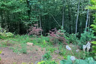 195 Woodcrest Dr, Murphy, NC 28906 - Photo 40