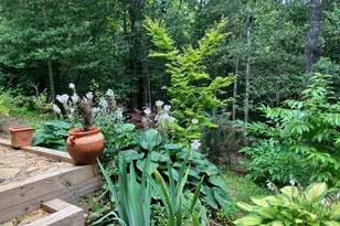 195 Woodcrest Dr, Murphy, NC 28906 - Photo 32