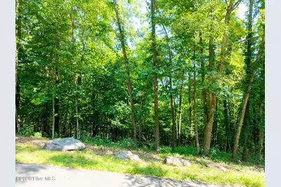 46 Buck Ridge Drive, Murphy, NC 28906 - Photo 1