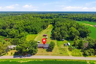 4040 Willard Rd, Willard, NC 28478 - Photo 48