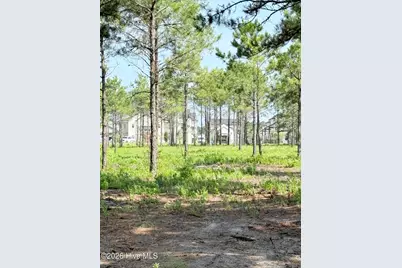 111-112 Seaside. (12.25 Acres) Road SW, Sunset Beach, NC 28468 - Photo 8