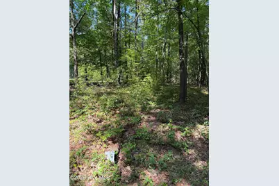 153 Omaha Drive, Louisburg, NC 27549 - Photo 2