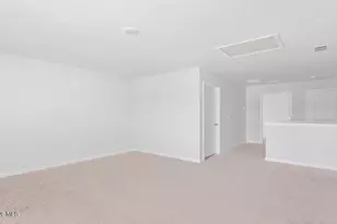 1038 Pampas Grass Dr, Castle Hayne, NC 28429 - Photo 12