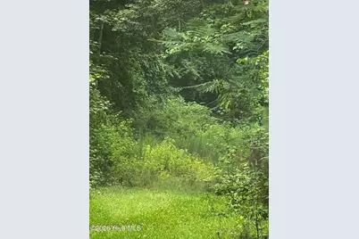 0 Davenport Country Lane, Tarboro, NC 27886 - Photo 2