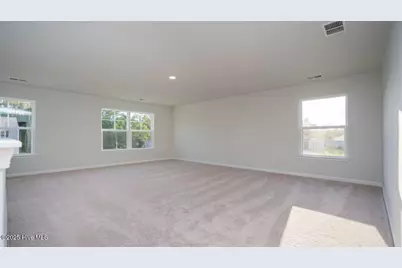 4318 Rough Stalk Lane #Lot 309, Castle Hayne, NC 28429 - Photo 14