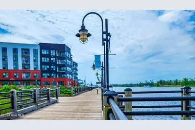 1022 Pampas Grass Drive #Lot 328, Castle Hayne, NC 28429 - Photo 42