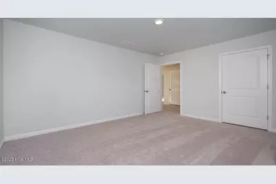 1022 Pampas Grass Drive #Lot 328, Castle Hayne, NC 28429 - Photo 22