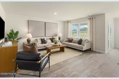 1113 Pampas Grass Drive #Lot 292, Castle Hayne, NC 28429 - Photo 6