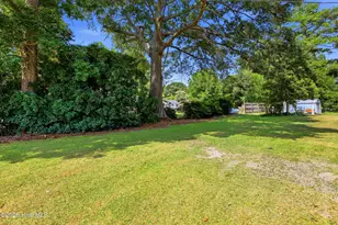 421 S Brown St, Chadbourn, NC 28431 - Photo 48