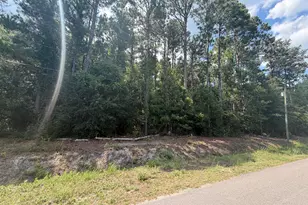 233 Pages Creek Dr, Wilmington, NC 28411 - Photo 1