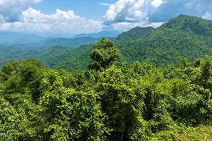 235 Rios Dr, Bryson City, NC 28713 - Photo 26