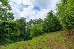 235 Rios Dr, Bryson City, NC 28713 - Photo 20