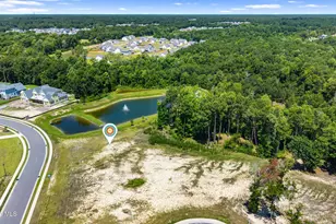 104 Dragonfly Ln, Hampstead, NC 28443 - Photo 10