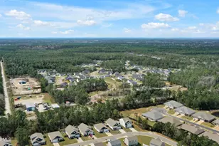 1528 Pleasant Holw Ct SE, Bolivia, NC 28422 - Photo 38