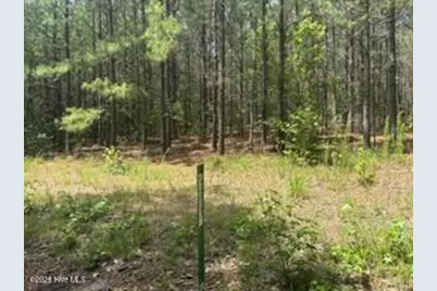 Tbd Boling Way, Southern Pines, NC 28387 - Photo 2