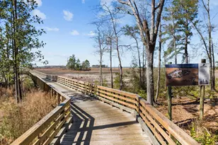1628 Osprey Cv Ct, Wilmington, NC 28401 - Photo 22