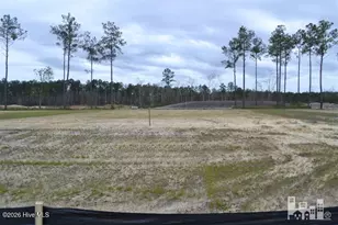 7021 Watershed St, Leland, NC 28451 - Photo 1