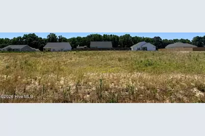202 Jackson Ridge Way, Pikeville, NC 27863 - Photo 2