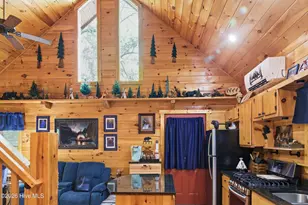 20 Mint Ln, Murphy, NC 28906 - Photo 10