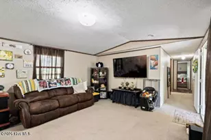 348 Murray Turner Farm Rd, Burgaw, NC 28425 - Photo 4