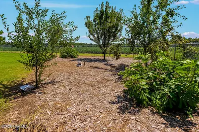 22329 Nc Highway 55, Oriental, NC 28571 - Photo 14