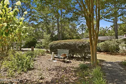 117 Sandham Court, Seven Lakes, NC 27376 - Photo 32