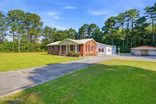 454 Buckhorn Rd, Willard, NC 28478 - Photo 4