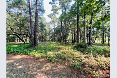 834 Blue Gill Court SE, Bolivia, NC 28422 - Photo 2