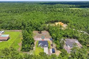 6000 Hwy 66, Loris, SC 29569 - Photo 30