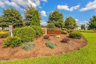 133 Bridgehaven Dr, Raeford, NC 28376 - Photo 42