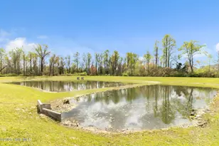 133 Bridgehaven Dr, Raeford, NC 28376 - Photo 48