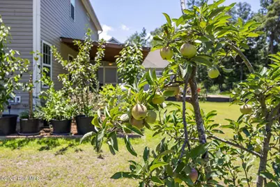 7165 Old Stump Drive SE, Leland, NC 28451 - Photo 60