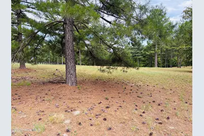760 Broken Ridge Trail, West End, NC 27376 - Photo 2