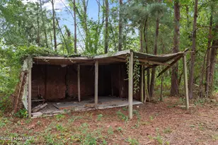 1118 Newsome St, Tarboro, NC 27886 - Photo 46