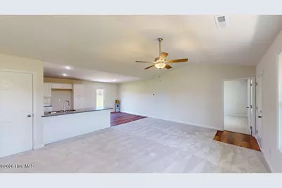 249 Swinson Drive, Dudley, NC 28333 - Photo 10