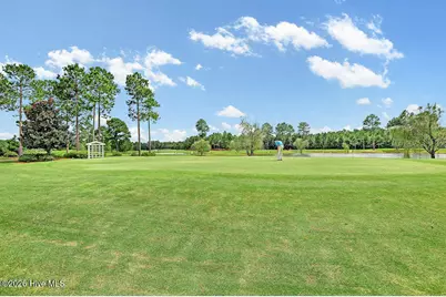 1537 Grandiflora Drive, Leland, NC 28451 - Photo 68