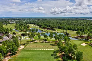 1537 Grandiflora Dr, Leland, NC 28451 - Photo 66